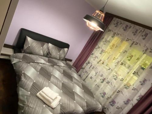 um quarto com uma cama com uma cortina e um candeeiro em Ferienwohnung Violetta em Băile Herculane