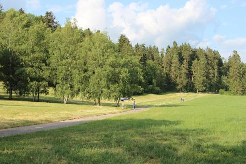 Příroda nedaleko apartmánu