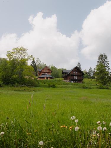 a field of grass with two houses in the background at Wideta in Smerek