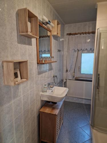 ein Bad mit einem Waschbecken und einer Dusche in der Unterkunft FeWo Schütz in Langewahl