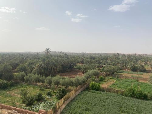 an aerial view of a field and trees at Riad Dar Barbara in Ouarzazate