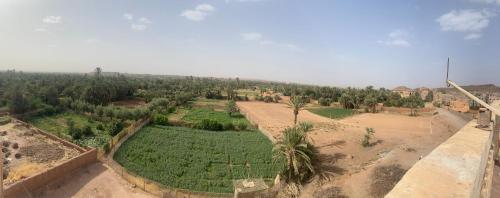 an aerial view of a field with palm trees at Riad Dar Barbara in Ouarzazate
