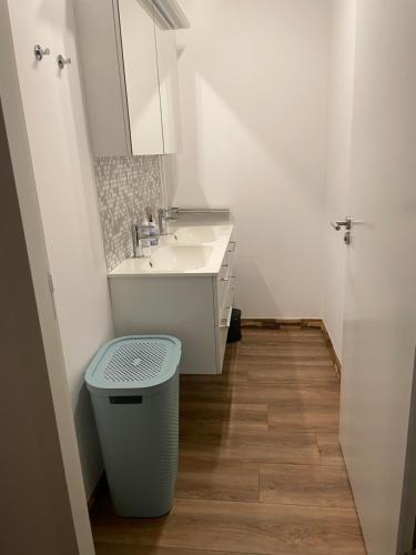 a bathroom with a sink and a trash can at Hallo Maastricht B&B Fientje de luxe in Maastricht