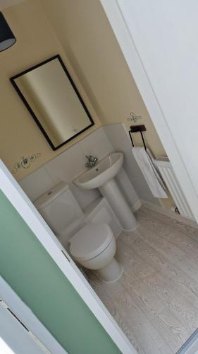 a bathroom with a sink and a toilet and a mirror at Carr Garth in Arnside