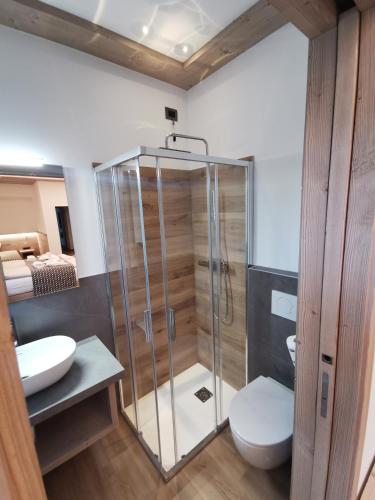 a bathroom with a shower and a toilet and a sink at Verdi Armonie in Lozzo Cadore