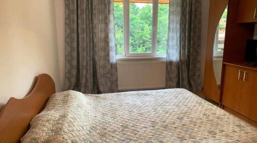 Photo de la galerie de l'établissement Casa Anca, à Băile Herculane