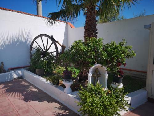 a garden with a waterwheel next to a house at Rivabella Sv 3 in Gallipoli