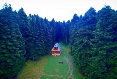 an aerial view of a cabin in the middle of a forest at Cottage Sochi in Ambrolauri
