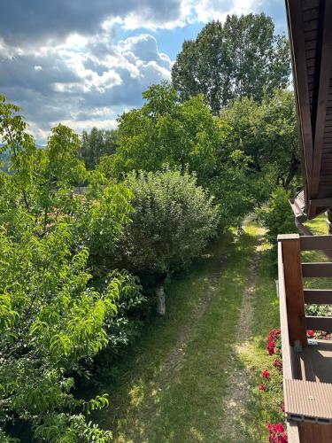 a view of a garden with bushes and trees at Cristian in Dejani