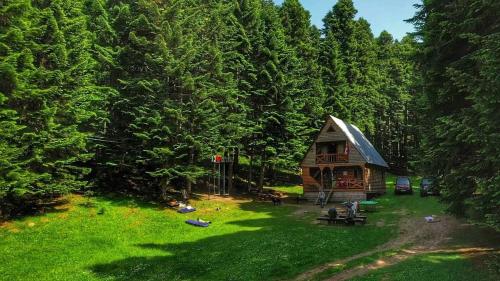 una pequeña cabaña en medio de un bosque en Cottage Sochi, en Ambrolauri