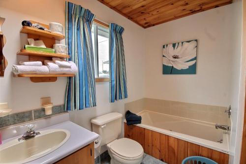 Bilik mandi di Cavendish Bosom Buddies Cottages & Suites