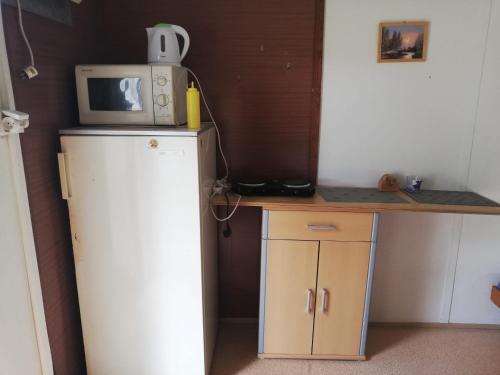 a small kitchen with a microwave on top of a refrigerator at Kemp a Loděnice Podolsko - Chatka pro 3 osoby 