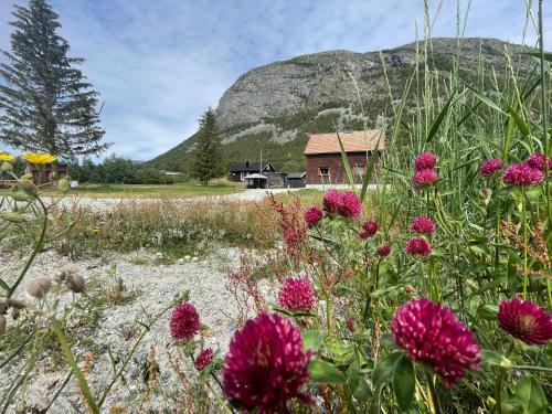 um campo de flores em frente a uma montanha em Old vacation house em Skjåk