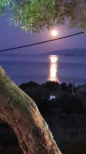 Φυσικό τοπίο κοντά σε αυτή η βίλα