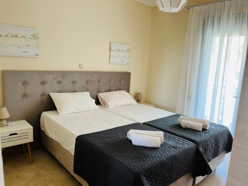 Gallery image of Allea Hotel and Apartments in Toroni