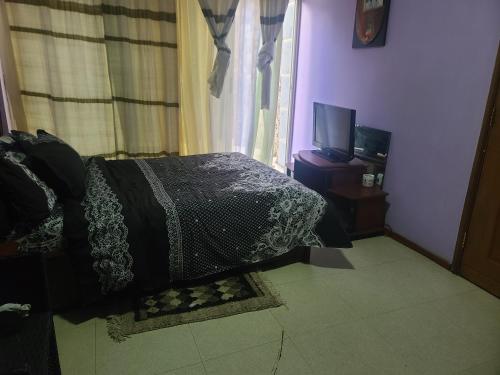 A Cozy Studio Apartment 10 mins to Bole Int'l Airport في أديس أبابا: غرفة نوم بسرير وتلفزيون ونافذة