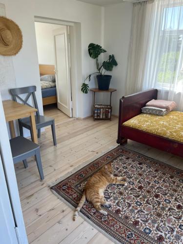 Letto o letti in una camera di Pie Jūras Pāvilostā