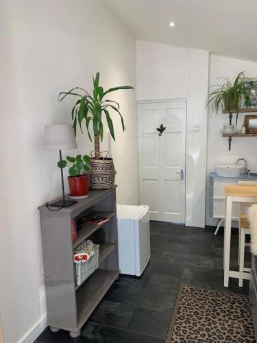 uma sala de estar com uma planta numa prateleira em The Garage Getaway em Glastonbury