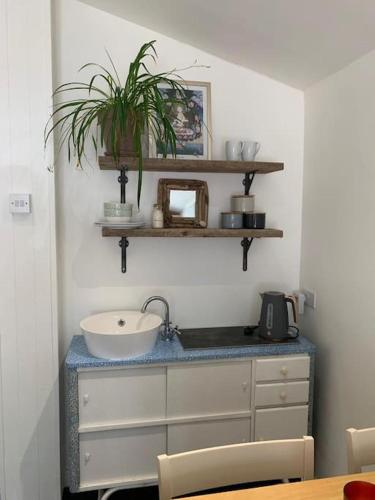 uma casa de banho com um lavatório num balcão azul em The Garage Getaway em Glastonbury
