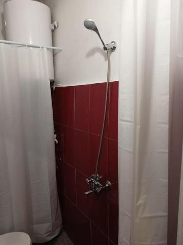 een douche in een badkamer met een rode en witte muur bij Welcome to Daisy sunny place! in Varna