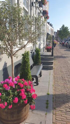a group of flowers in front of a building at Hotel De Grote Kade - Boutique Heritage Hotel in het historische hart van Goes in Goes