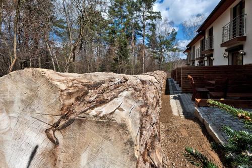 a large tree stump sitting next to a house at Mevo Apartament - Apartamenty 4 -6 osobowe in Polańczyk