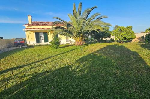 a house with a palm tree in the yard at Quinta Marinhais Privada no Ribatejo com Piscina, BBQ e Animais, Perto de Lisboa in Marinhais