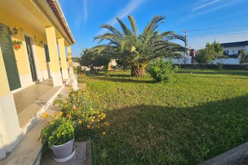 a yard with a palm tree and a house at Quinta Marinhais Privada no Ribatejo com Piscina, BBQ e Animais, Perto de Lisboa in Marinhais