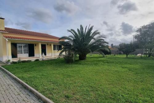 a palm tree in front of a house at Quinta Marinhais para férias no Ribatejo in Marinhais