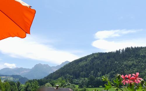 een oranje paraplu met uitzicht op een berg bij Haus Pyhrgasblick in Windischgarsten