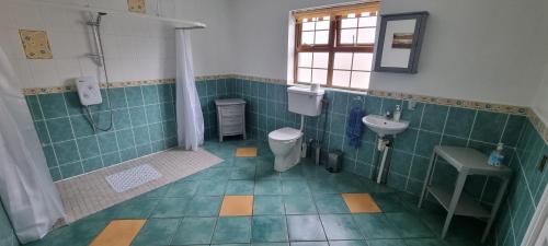 łazienka z toaletą i umywalką w obiekcie The Madden Guest House w mieście Gilford