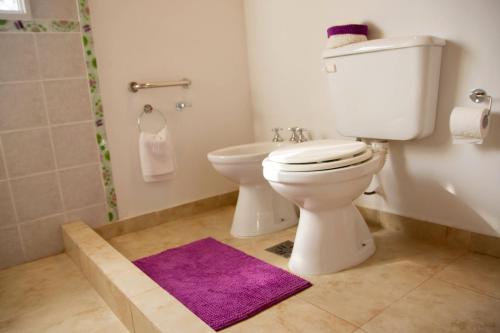 ein Badezimmer mit einem WC und einem lila Teppich in der Unterkunft COSTA COM Cabañas in Merlo