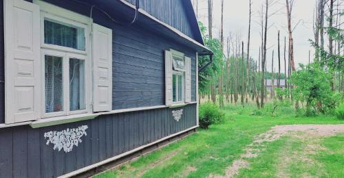 a blue house with windows on the side of it at Agroturystyka całoroczna Ranczo Husinka in Husinka