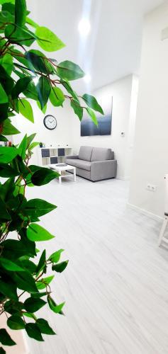 a living room with a couch and a plant at Apartamento Plaza Calzada 1 in Sanlúcar de Barrameda