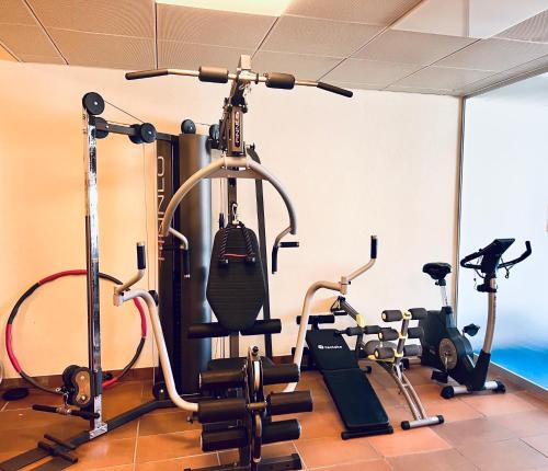a gym with several different types of exercise equipment at Gauencenter EG - CharmingStay in Flums