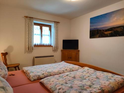 a bedroom with a bed and a window and a television at Schmidtler`s Nest in Warngau