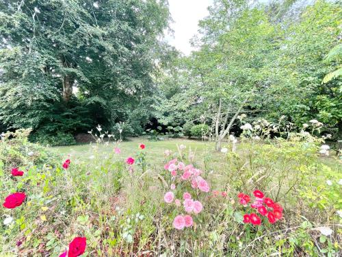a field of flowers with trees in the background at LE FOUR A PAIN - Campagne entre Plages et Quimper in Pluguffan