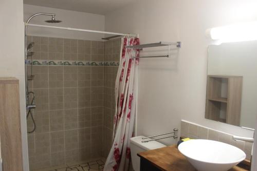 a bathroom with a shower and a toilet and a sink at Régent 3e étage Papeete in Papeete