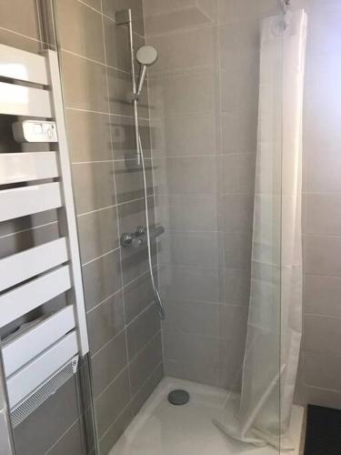 y baño con ducha y puerta de cristal. en Bel appartement t2 Antibes proche Marineland en Antibes