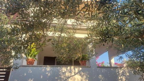 Gallery image of L'Oasi a Supetar in Supetar