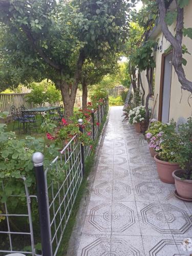 a walkway with potted plants and a fence at Kristina Mitllari 2 in Pogradec