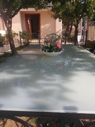 a pool of water with a bowl of flowers on it at Kristina Mitllari 2 in Pogradec