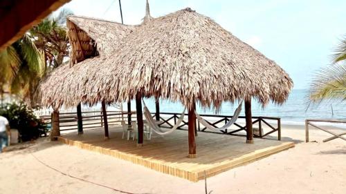 a straw hut on a beach with the ocean at Awa de Mar Playa in Tolú