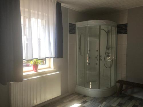 a shower in a bathroom with a window at Ferienwohnung zum Tiefenthal 