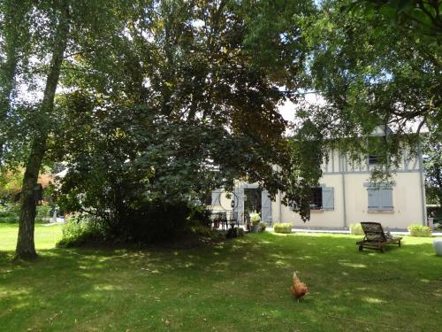 a chicken walking in the grass in front of a house at Chambres et Table d'Hôtes du Coquerel in Saint-Siméon
