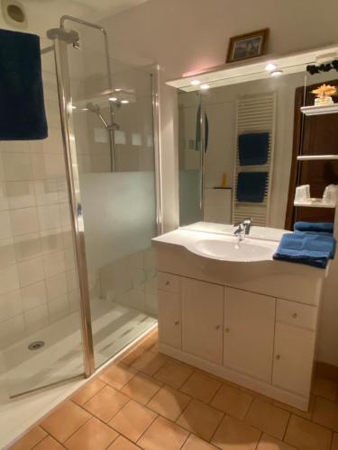 a bathroom with a sink and a shower at Chambres et Table d'Hôtes du Coquerel in Saint-Siméon