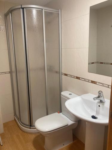 a bathroom with a shower and a toilet and a sink at Casa Baratech 2C in Biescas