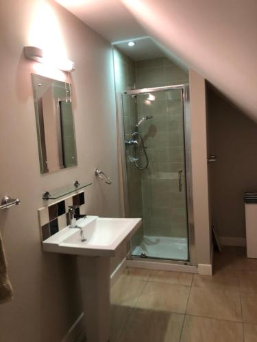 a bathroom with a shower and a white sink at Sióg in Oughterard