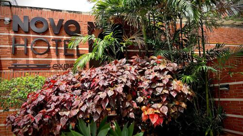 Novo Hotel – Photos 2