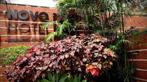 a bunch of plants in front of a building at Novo Hotel in Caracas